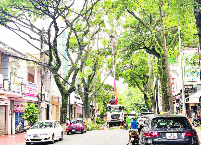 Bộ đơn giá dịch vụ công ích đô thị (mới) áp dụng trên địa bàn tỉnh Đắk Lắk từ ngày  24/3/2026